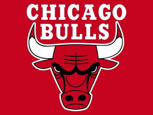 Chicago Bulls Logo